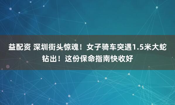 益配资 深圳街头惊魂！女子骑车突遇1.5米大蛇钻出！这份保命指南快收好